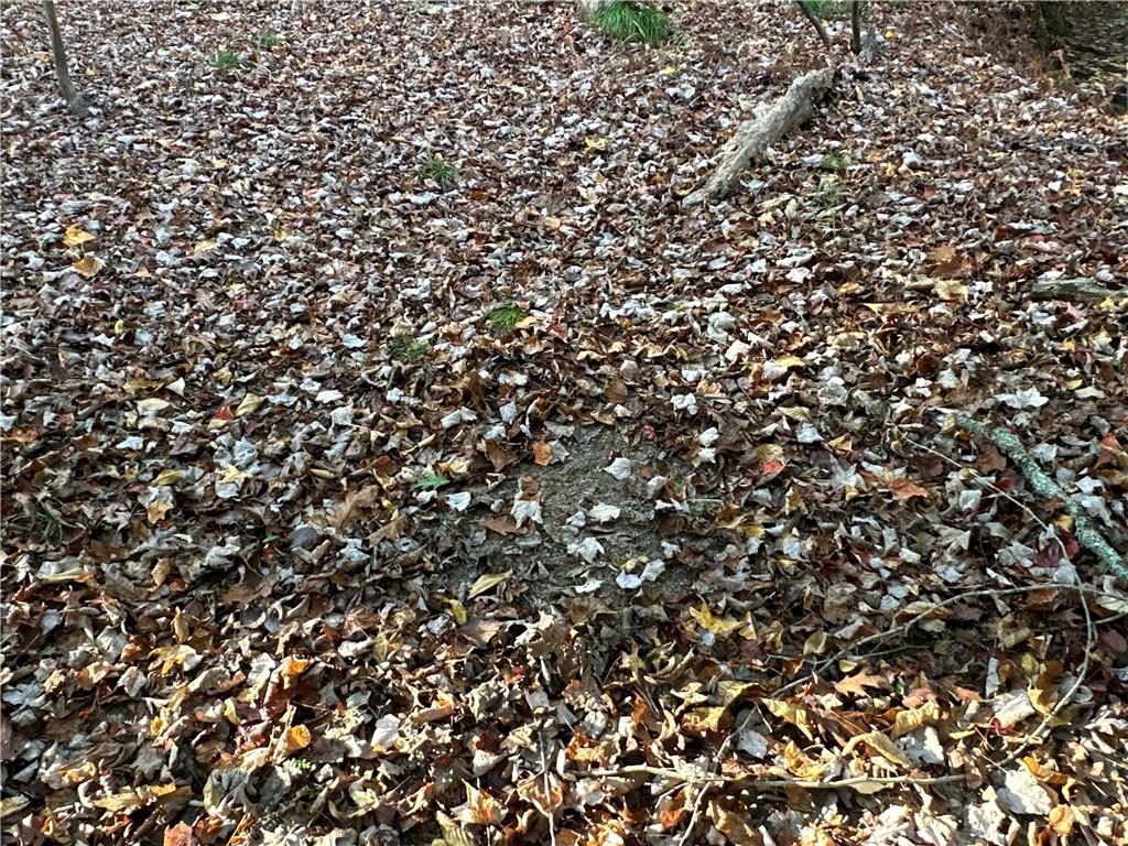 1806 Browning Road Rockmart, GA 30153 - Photo 74 of 89