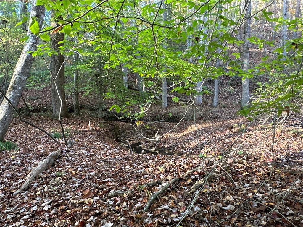 1806 Browning Road Rockmart, GA 30153 - Photo 75 of 89 a backyard of a house with lots of plants and large trees