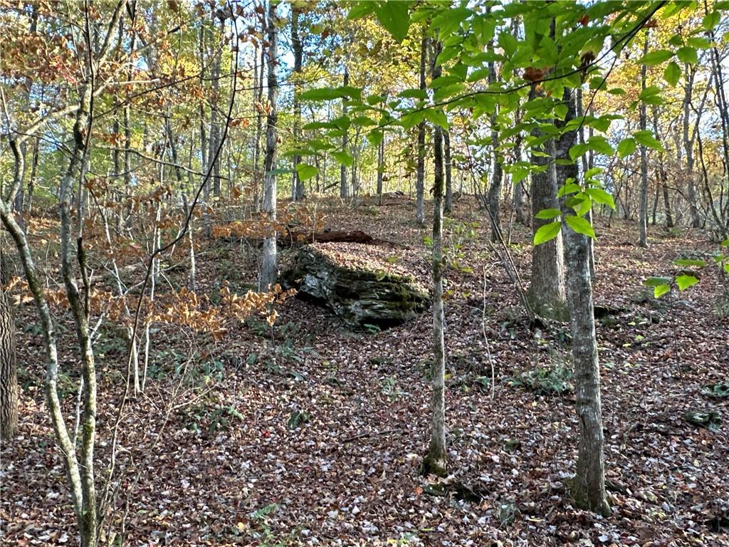 1806 Browning Road Rockmart, GA 30153 - Photo 77 of 89 a view of yard with green space