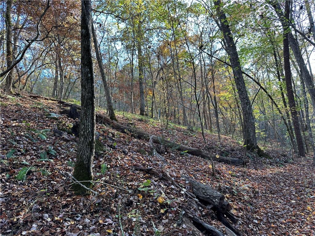1806 Browning Road Rockmart, GA 30153 - Photo 78 of 89 a view of a forest filled with trees