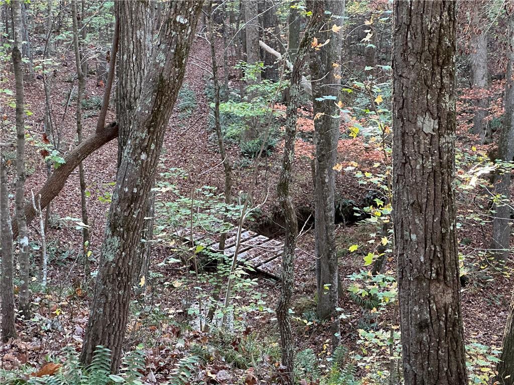 1806 Browning Road Rockmart, GA 30153 - Photo 79 of 89