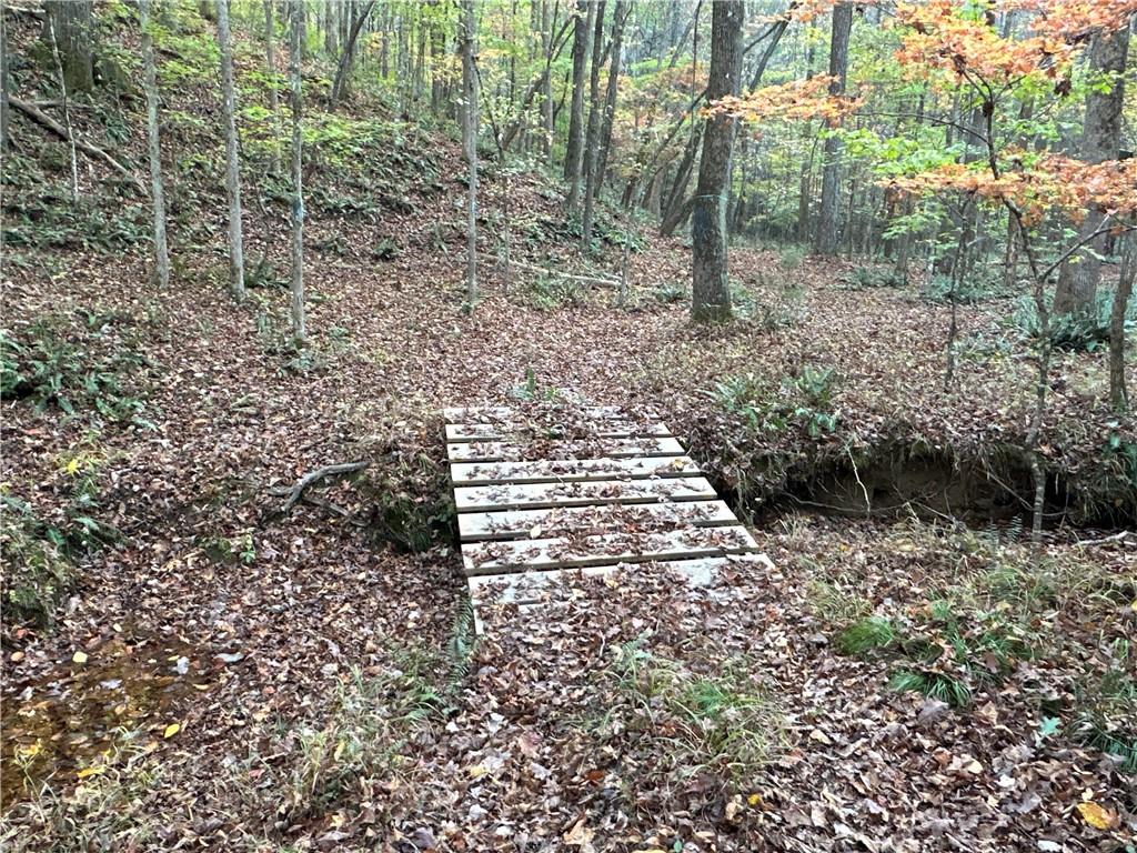 1806 Browning Road Rockmart, GA 30153 - Photo 80 of 89 a view of a yard with plants and large trees