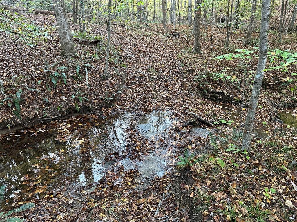 1806 Browning Road Rockmart, GA 30153 - Photo 81 of 89 a view of a large yard with lots of green space