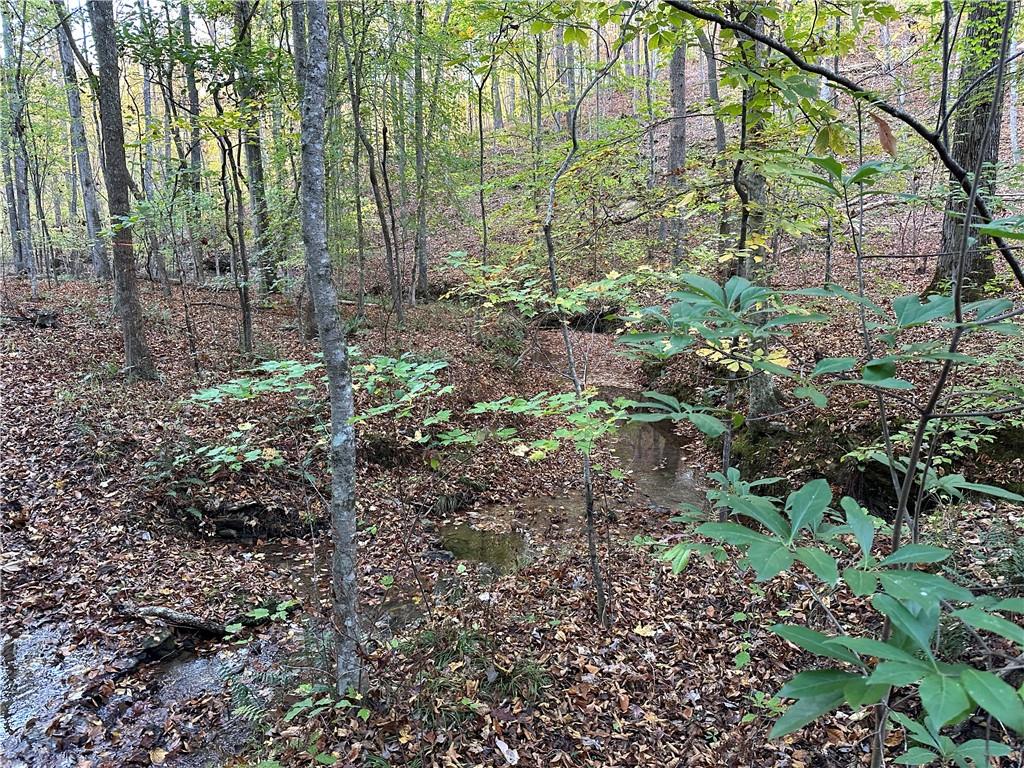 1806 Browning Road Rockmart, GA 30153 - Photo 82 of 89 a view of a yard with plants and trees