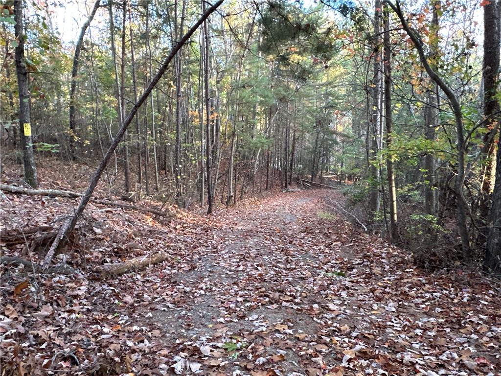 1806 Browning Road Rockmart, GA 30153 - Photo 83 of 89 a backyard of a house with lots of green space