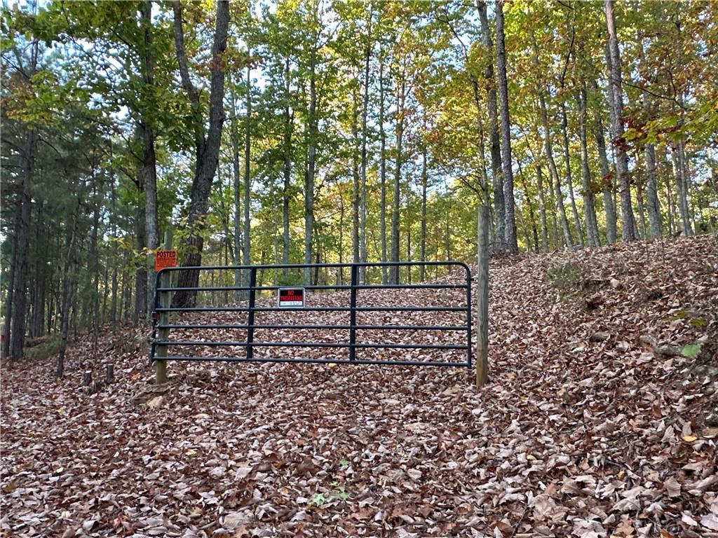 1806 Browning Road Rockmart, GA 30153 - Photo 84 of 89 a view of a yard with large trees