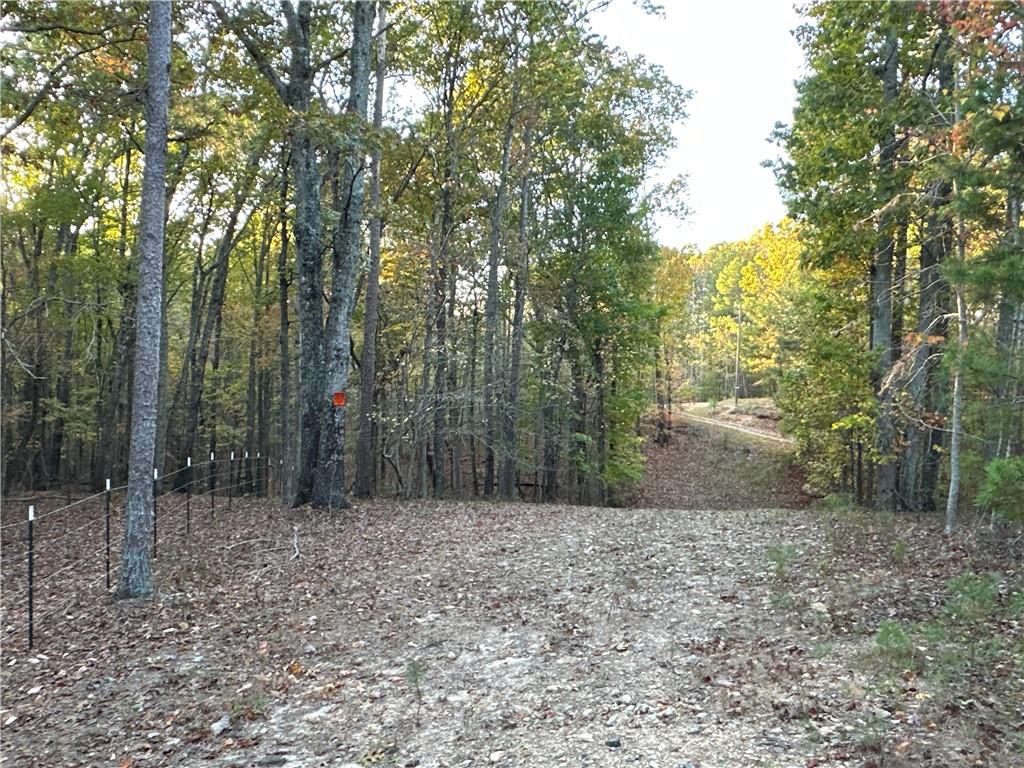 1806 Browning Road Rockmart, GA 30153 - Photo 86 of 89 a view of a forest with trees