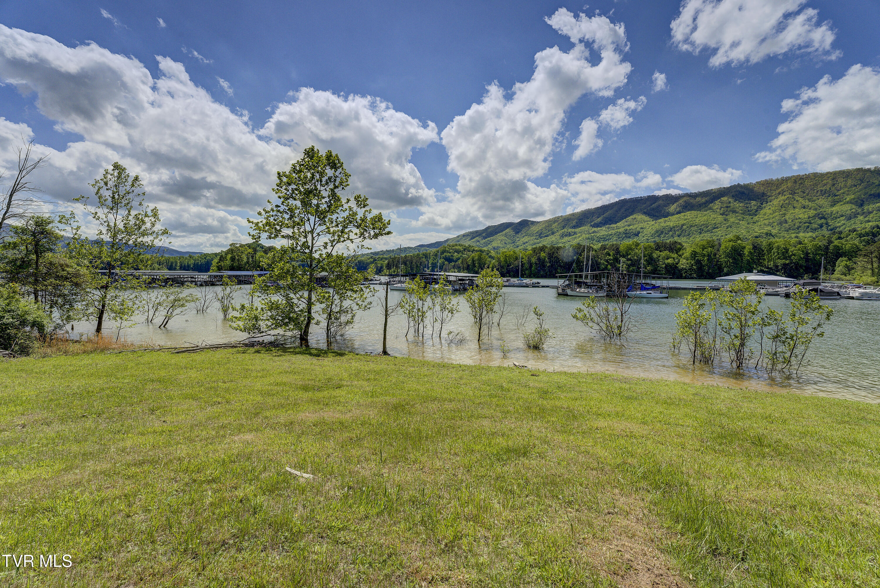 Tbd Big Oak Drive Butler, TN 37640 - Photo 11 of 40 TBD-BigOakDr-10