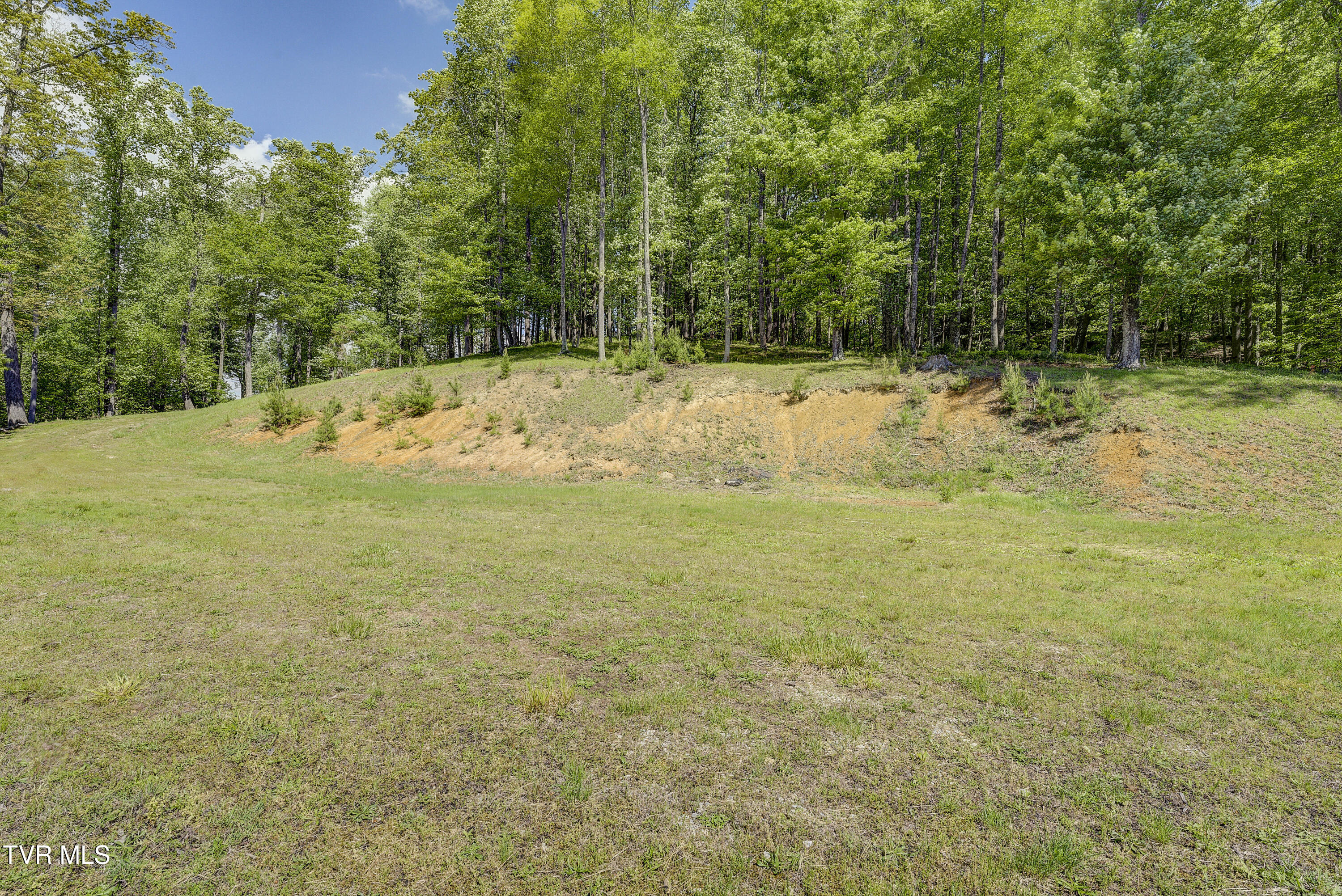 Tbd Big Oak Drive Butler, TN 37640 - Photo 16 of 40 TBD-BigOakDr-5