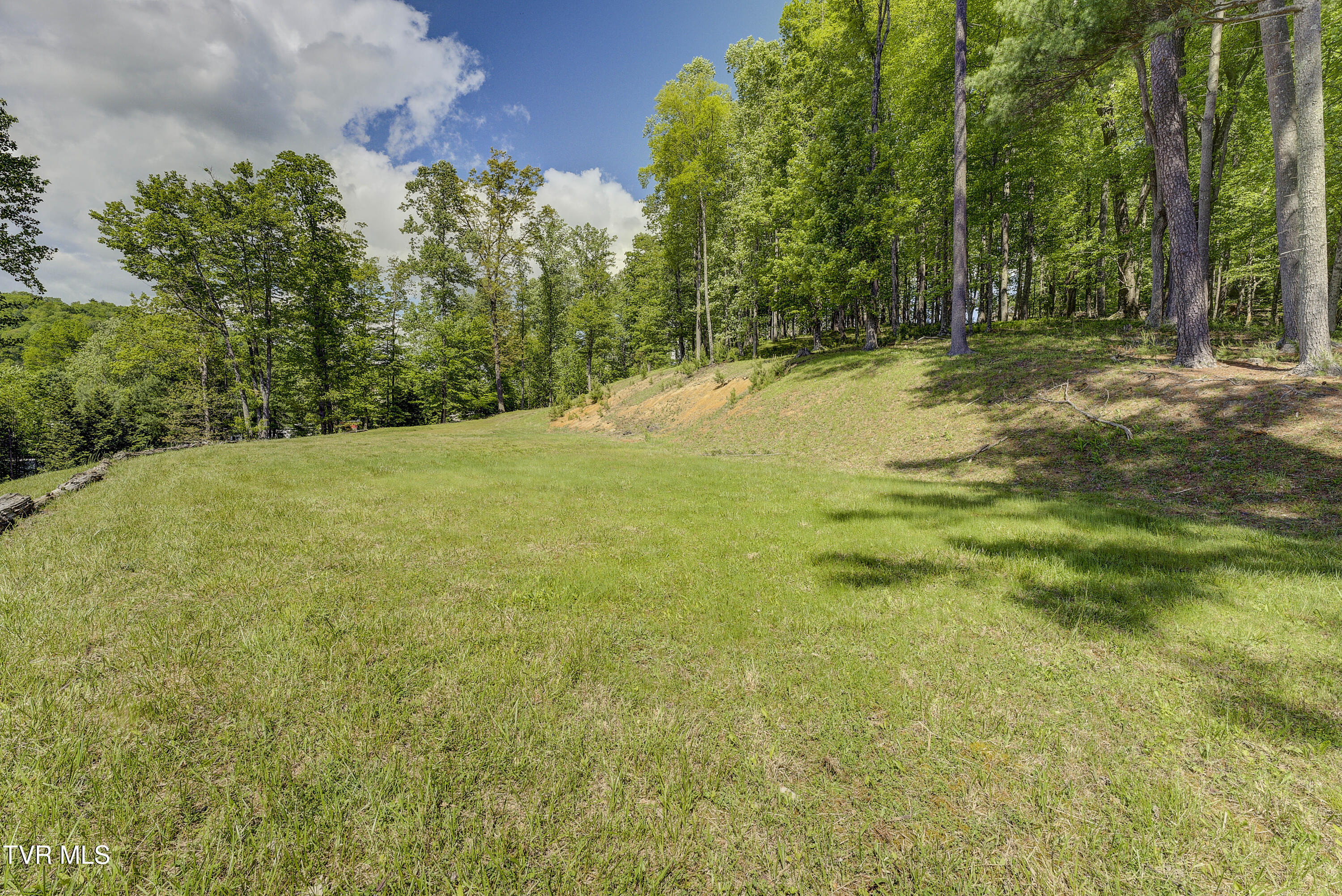 Tbd Big Oak Drive Butler, TN 37640 - Photo 18 of 40 TBD-BigOakDr-9