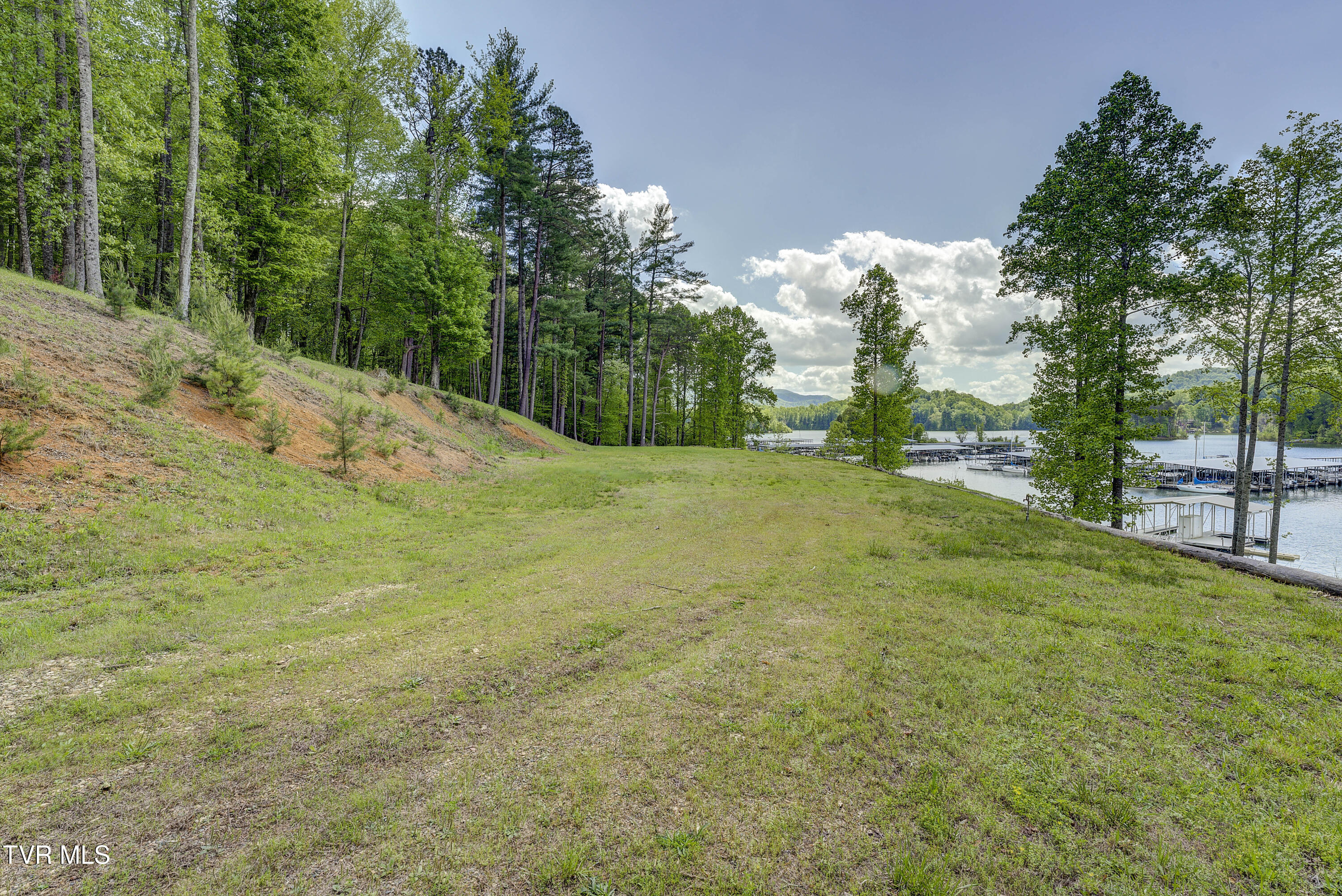 Tbd Big Oak Drive Butler, TN 37640 - Photo 20 of 40 TBD-BigOakDr-4