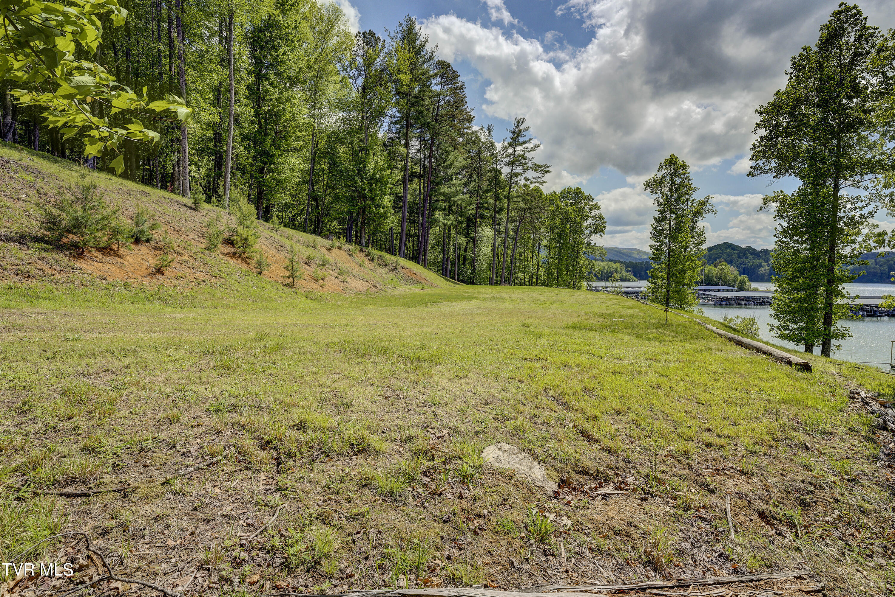 Tbd Big Oak Drive Butler, TN 37640 - Photo 21 of 40 TBD-BigOakDr-16