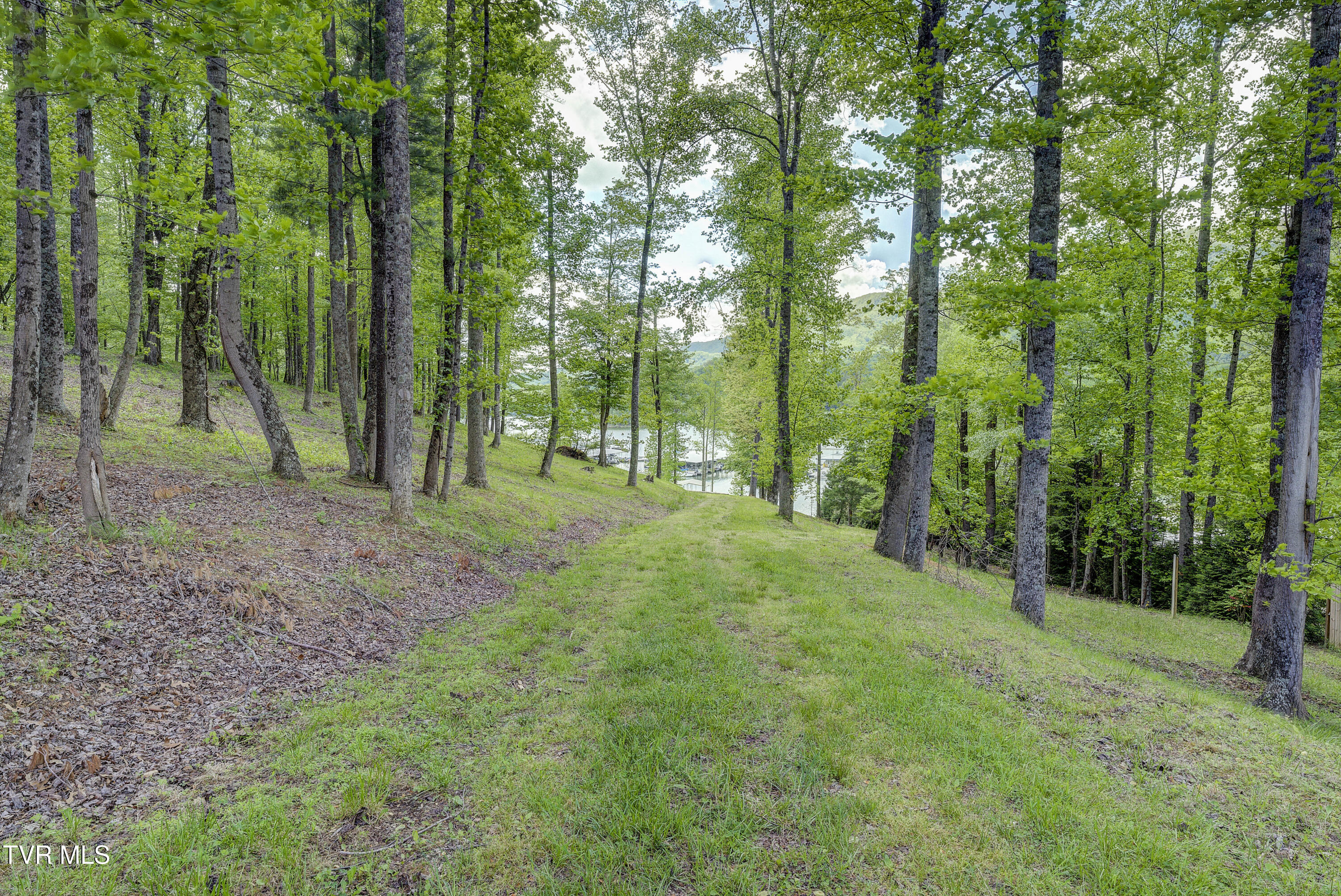 Tbd Big Oak Drive Butler, TN 37640 - Photo 22 of 40 TBD-BigOakDr-2