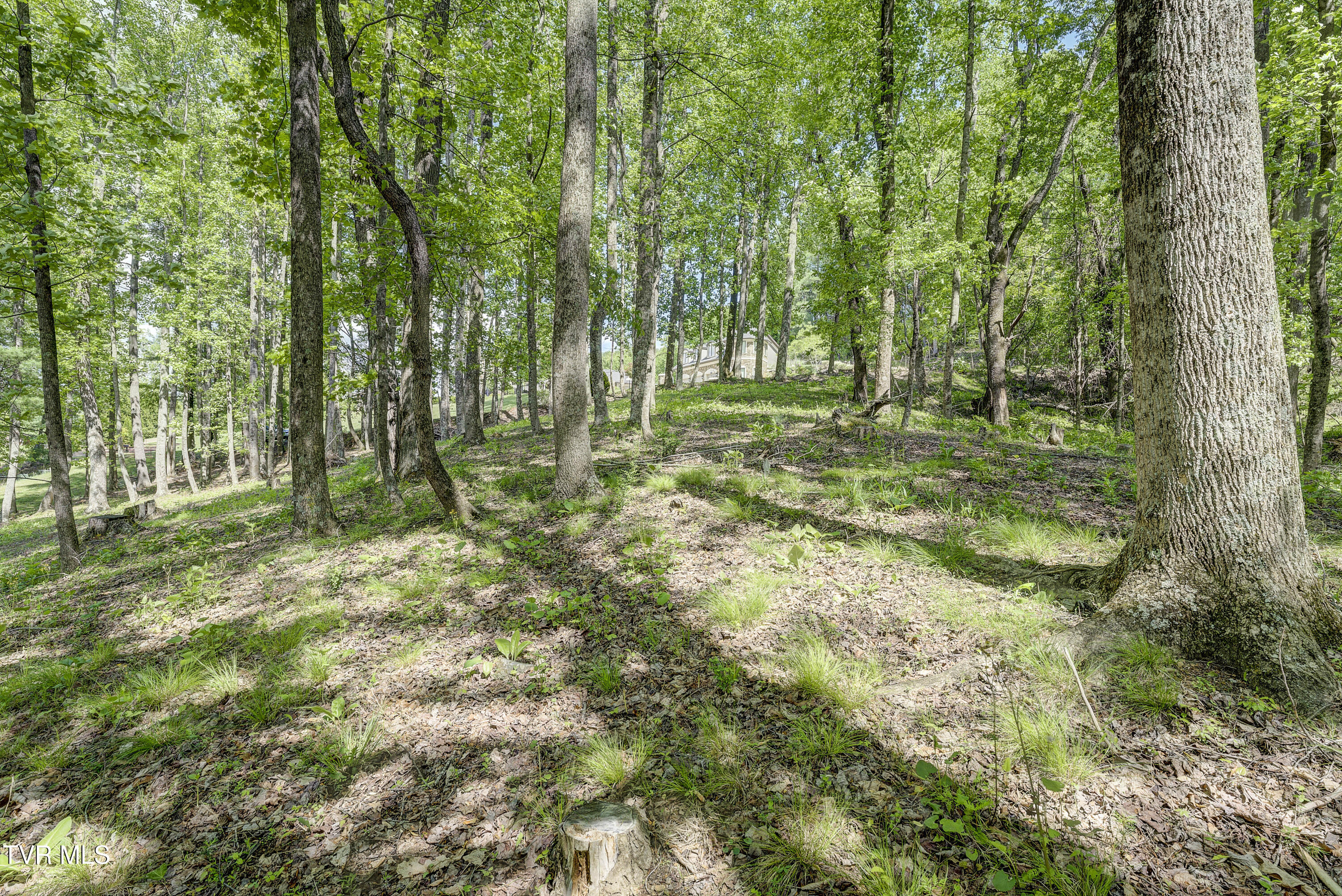 Tbd Big Oak Drive Butler, TN 37640 - Photo 24 of 40 TBD-BigOakDr-18