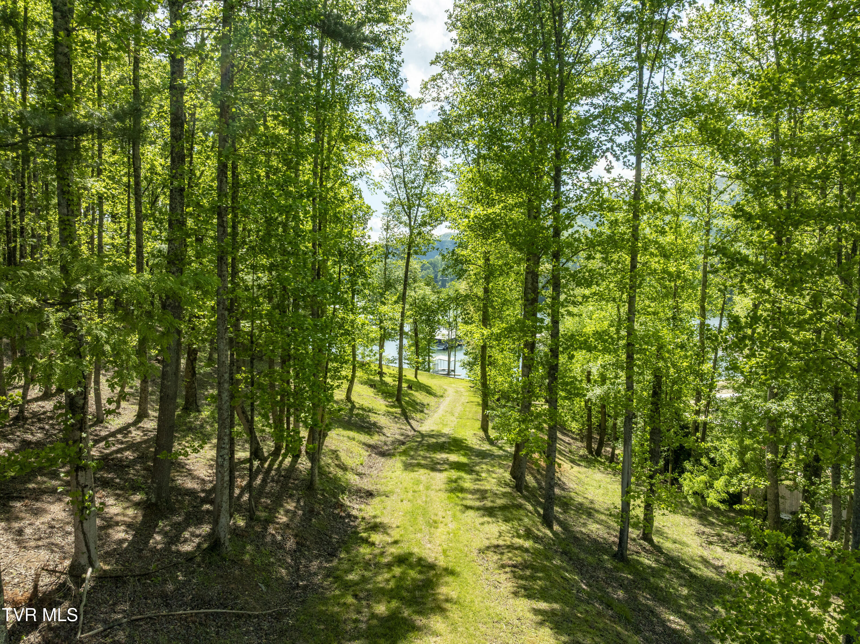 Tbd Big Oak Drive Butler, TN 37640 - Photo 26 of 40 BigOak-Aerials-26