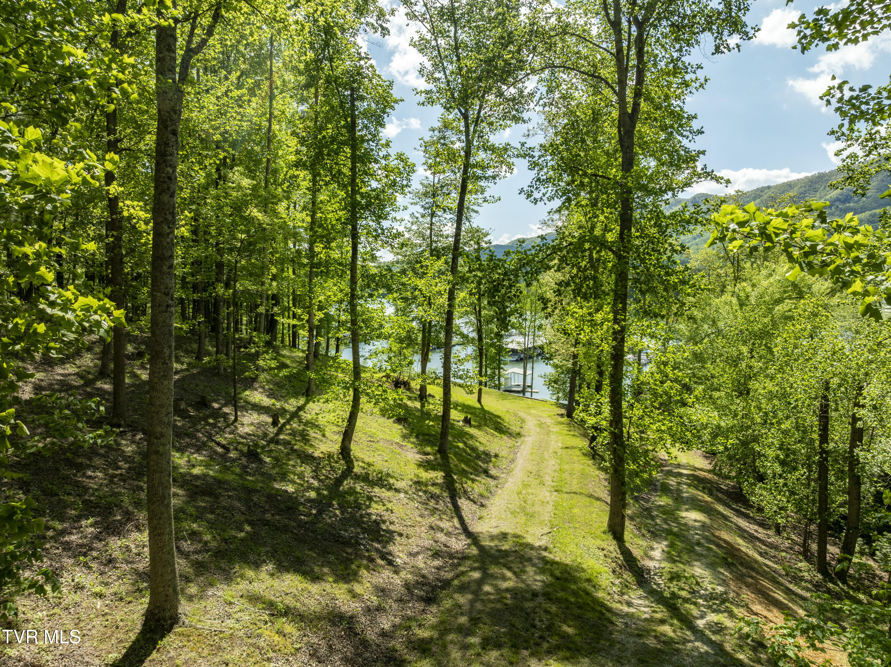 Tbd Big Oak Drive Butler, TN 37640 - Photo 27 of 40 BigOak-Aerials-25