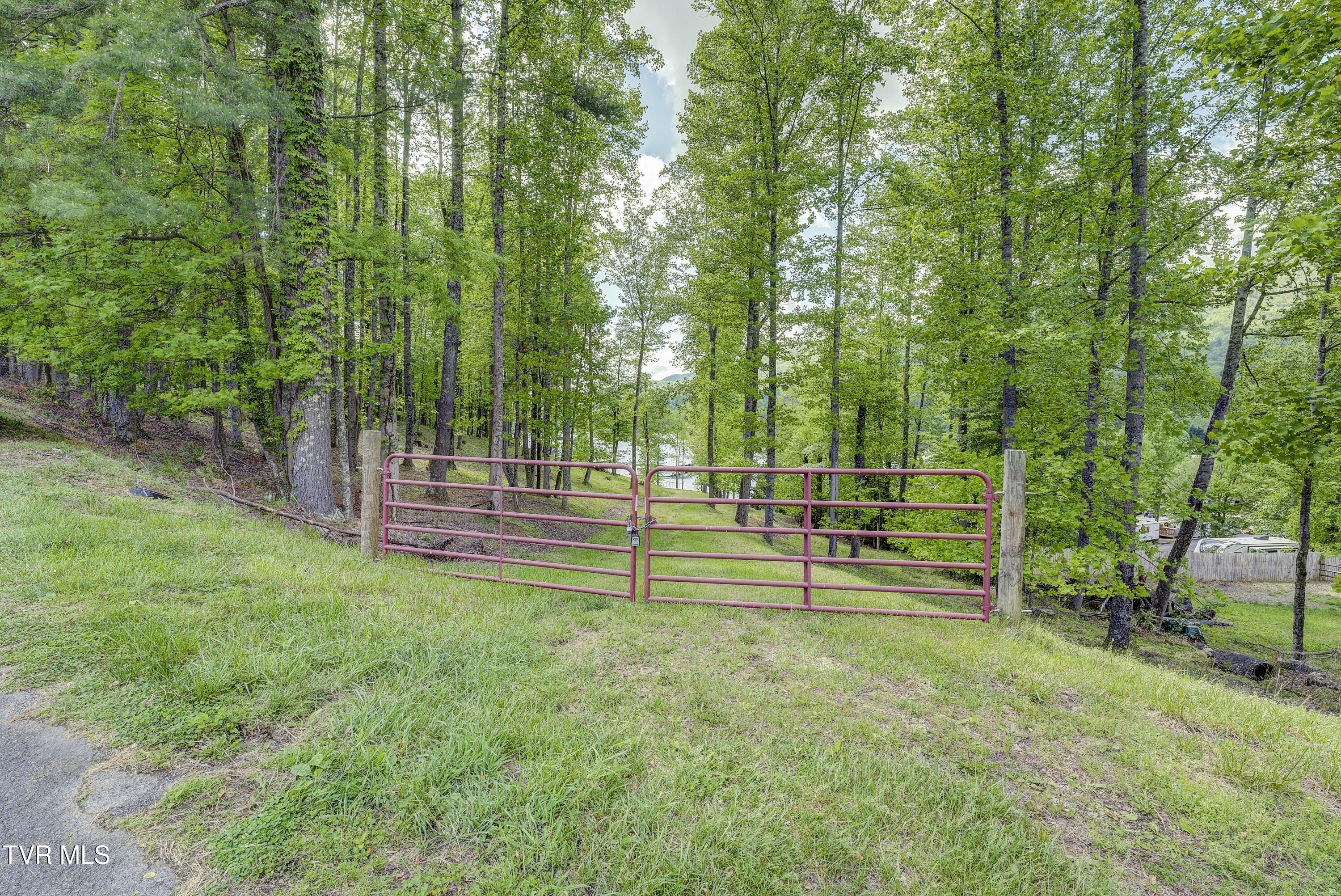 Tbd Big Oak Drive Butler, TN 37640 - Photo 29 of 40 TBD-BigOakDr-1