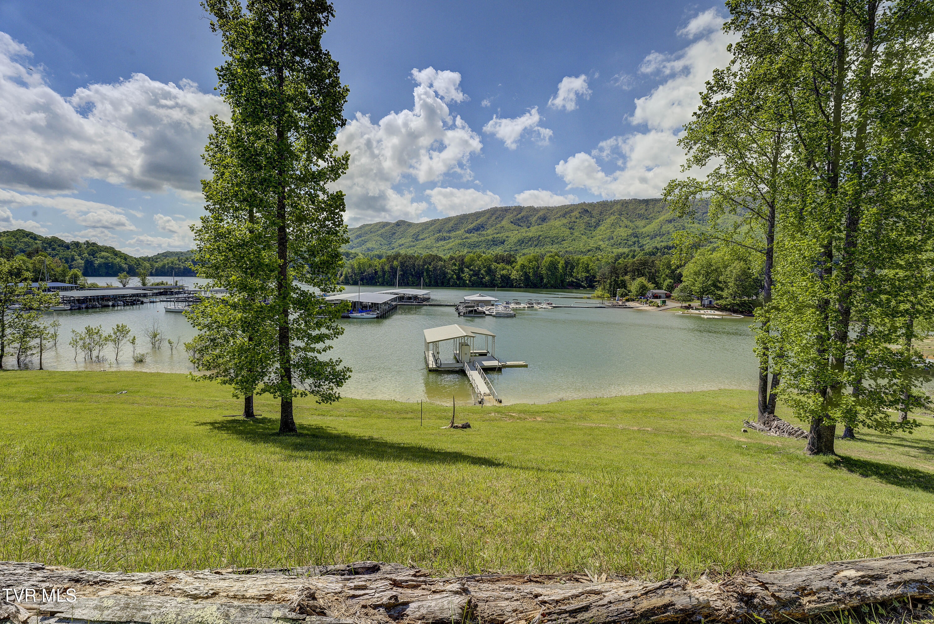 Tbd Big Oak Drive Butler, TN 37640 - Photo 7 of 40 TBD-BigOakDr-8