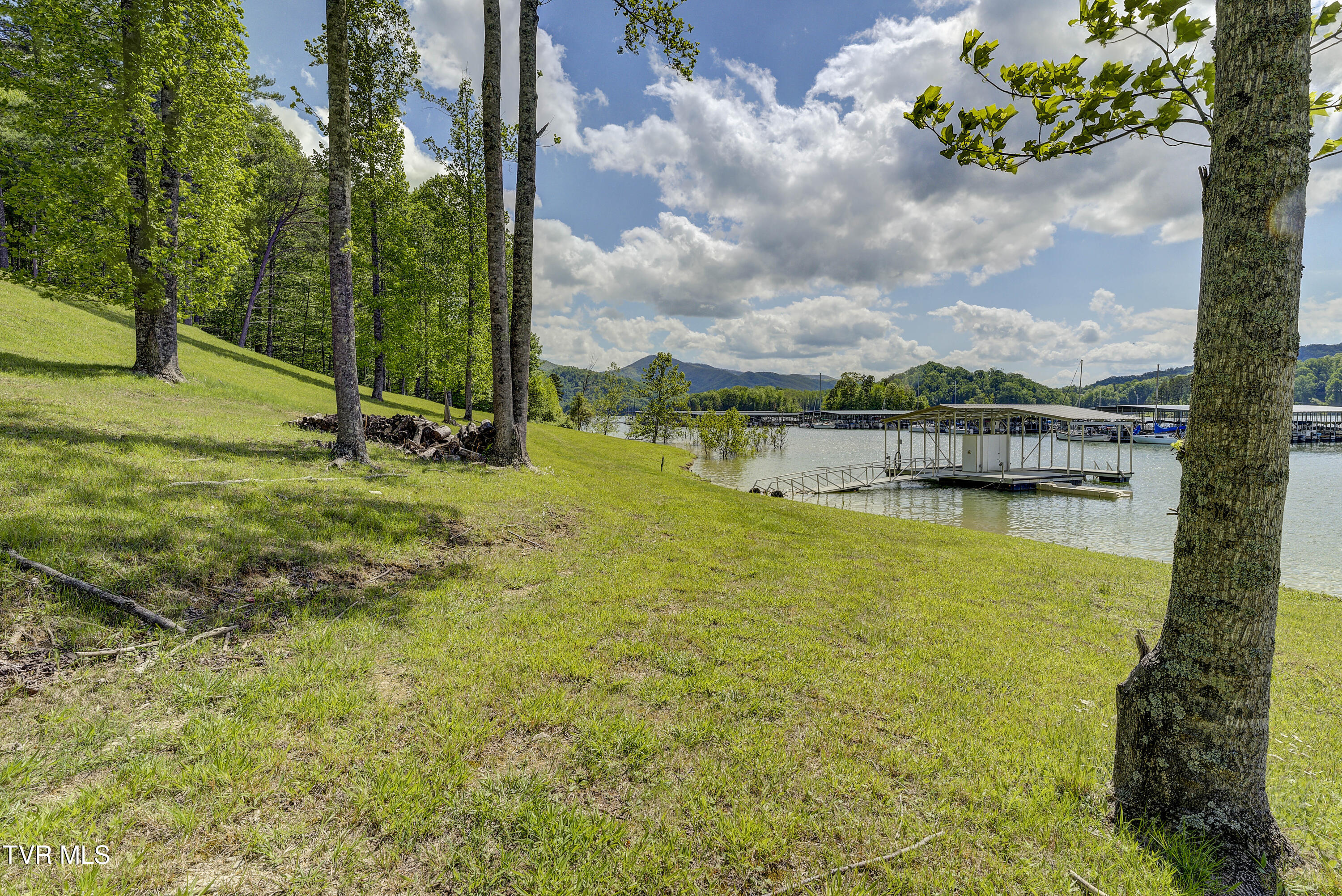Tbd Big Oak Drive Butler, TN 37640 - Photo 10 of 40 TBD-BigOakDr-14