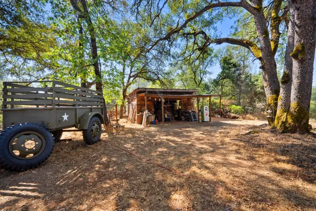 a view of a yard with large trees