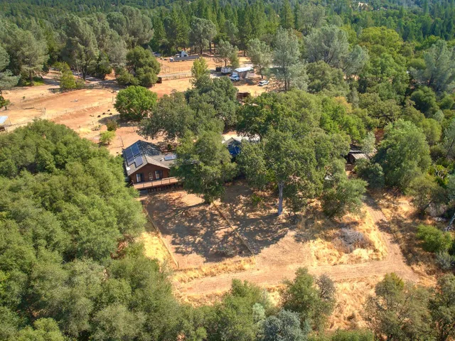 a view of a lush green forest with a house