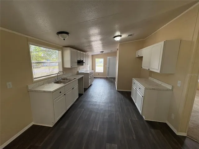 a view of road and trees