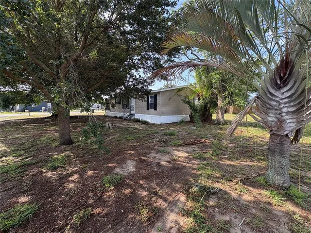 a view of a yard with a tree