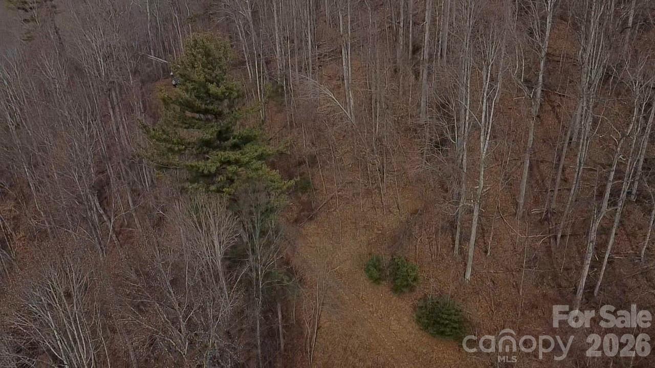 0 Wild Turkey Pen Road Bakersville, NC 28705 - Photo 11 of 12 a bathroom with a shower