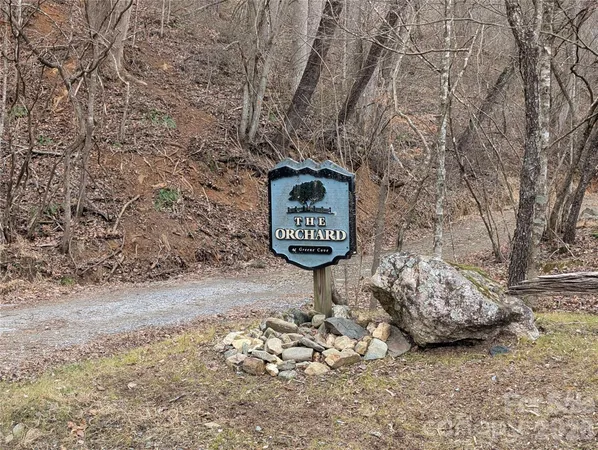a view of a bench in middle of forest