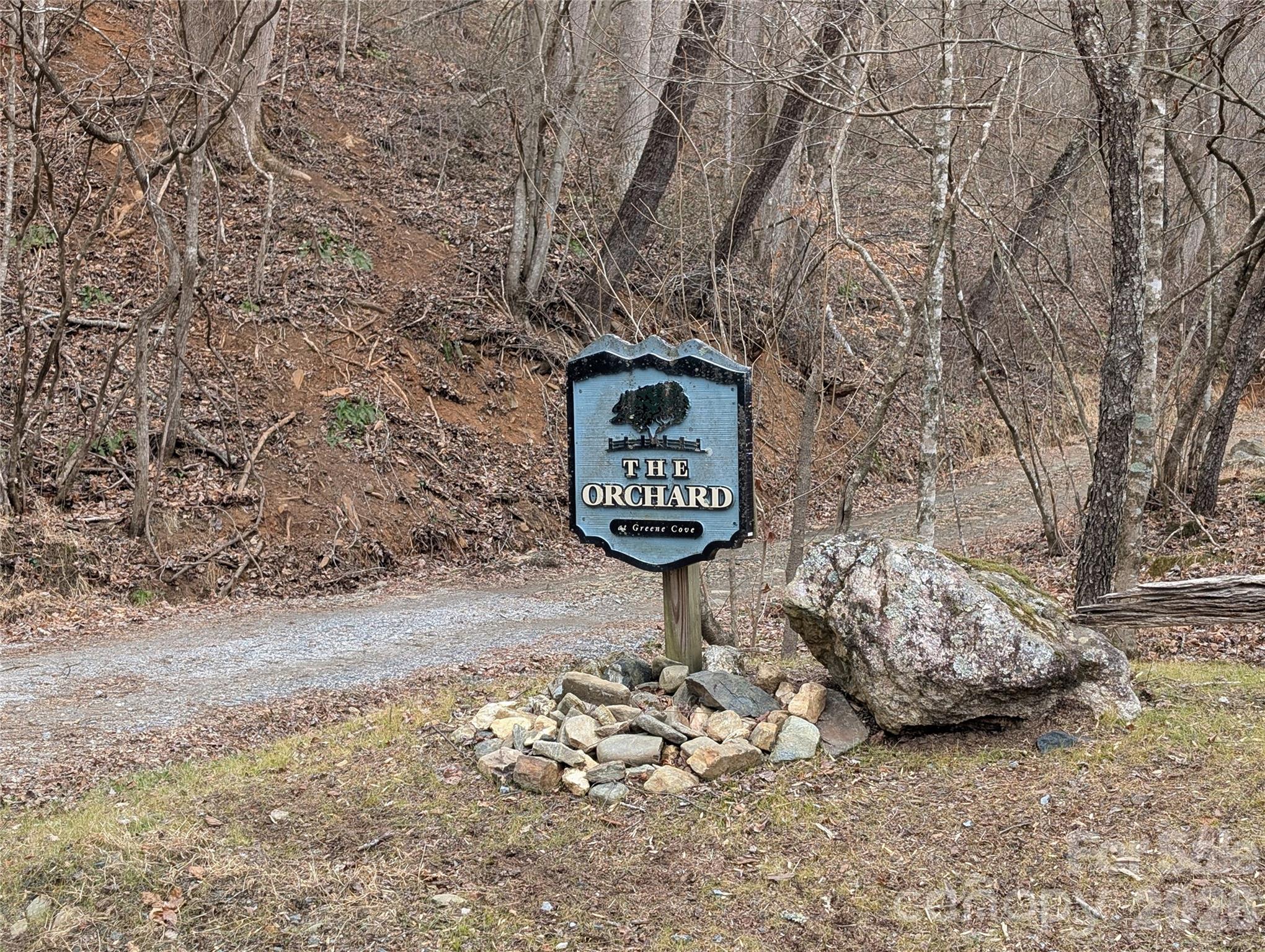 0 Wild Turkey Pen Road Bakersville, NC 28705 - Photo 3 of 12 a view of a bench in middle of forest