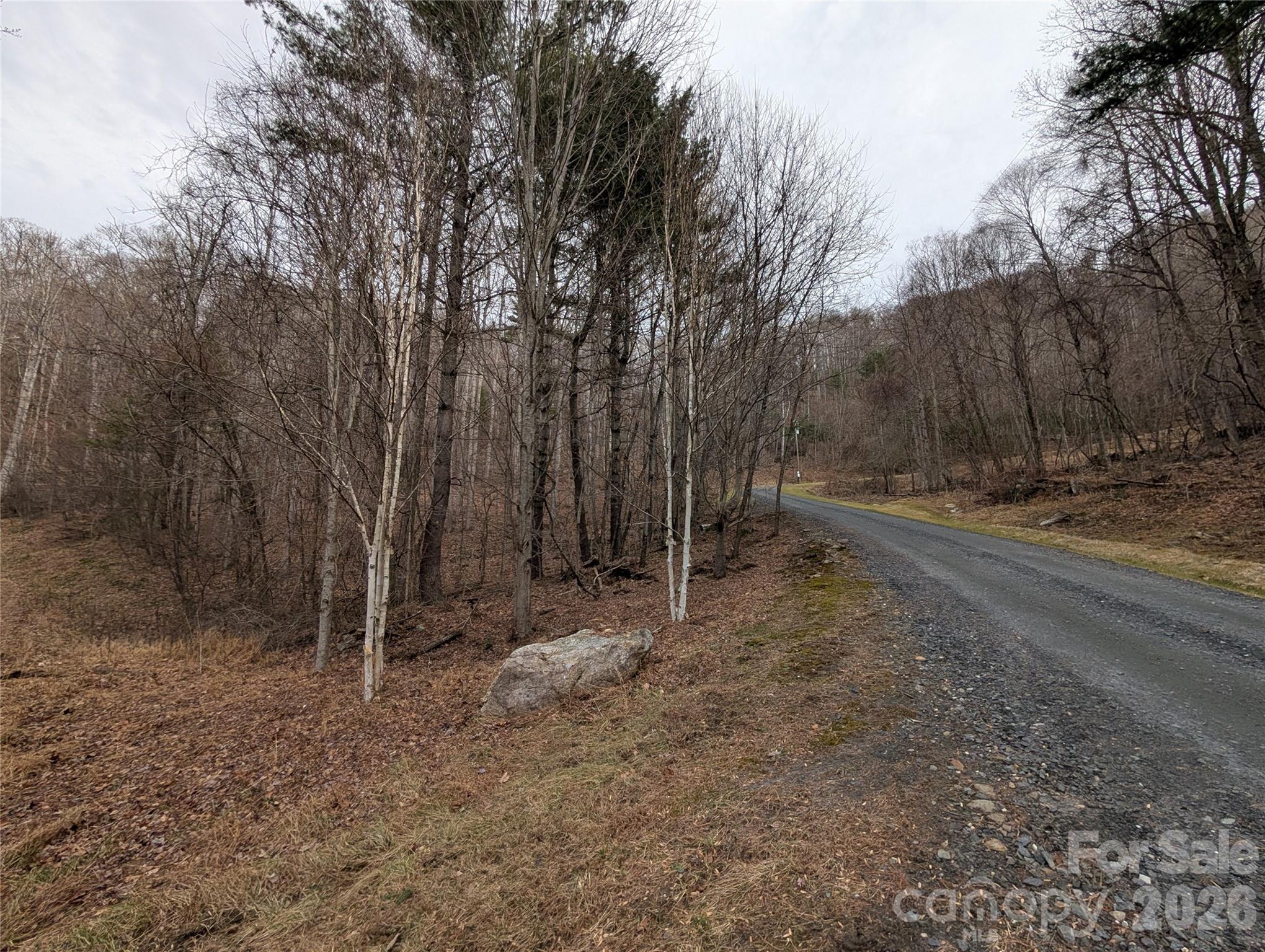 0 Wild Turkey Pen Road Bakersville, NC 28705 - Photo 5 of 12 a view of a forest with trees in the background
