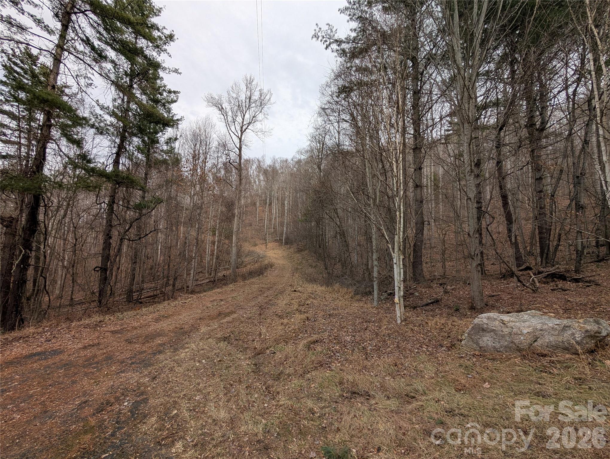 0 Wild Turkey Pen Road Bakersville, NC 28705 - Photo 6 of 12 a view of backyard with trees
