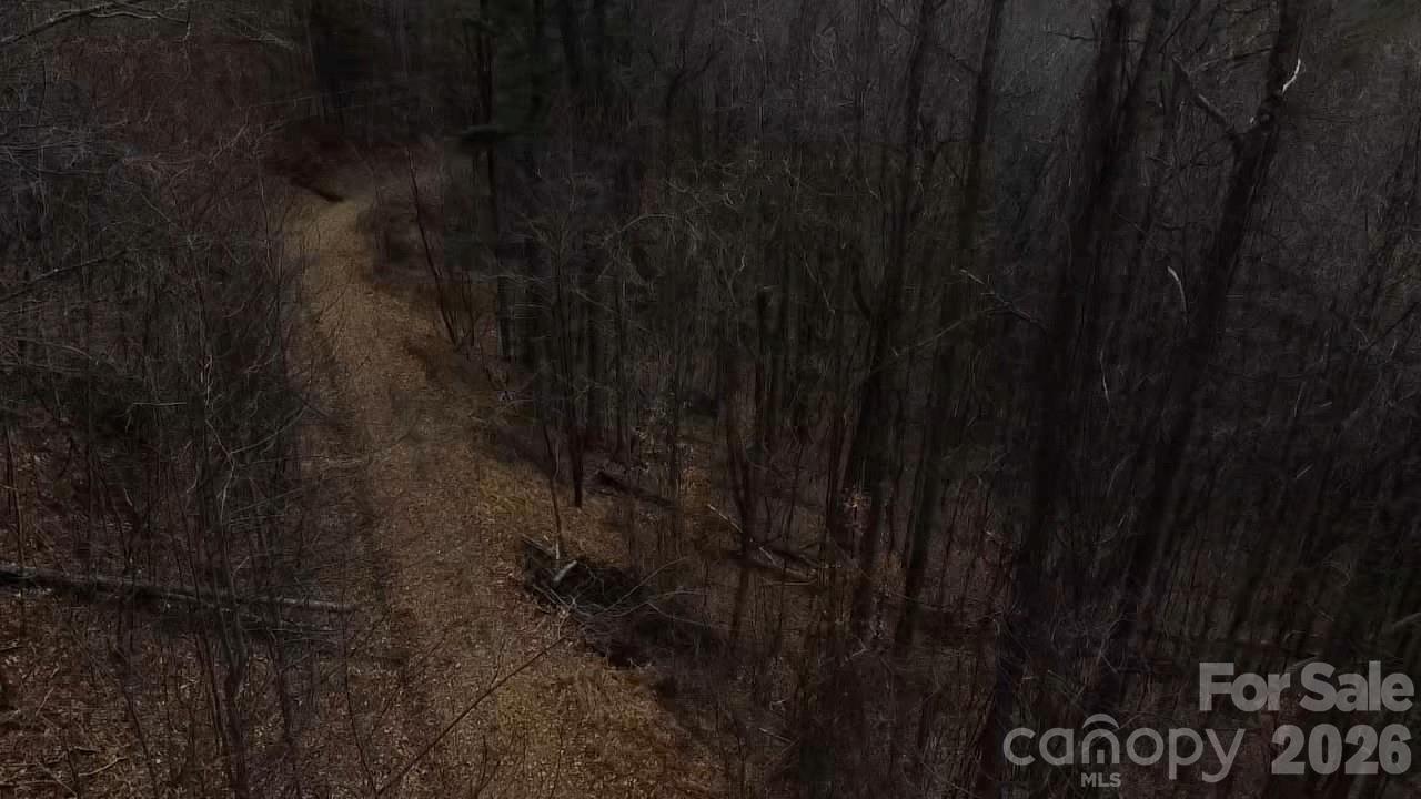 0 Wild Turkey Pen Road Bakersville, NC 28705 - Photo 7 of 12 a close view of a shower