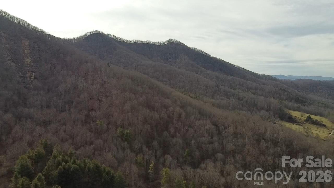 0 Wild Turkey Pen Road Bakersville, NC 28705 - Photo 8 of 12 a view of a dry yard with mountains in the background