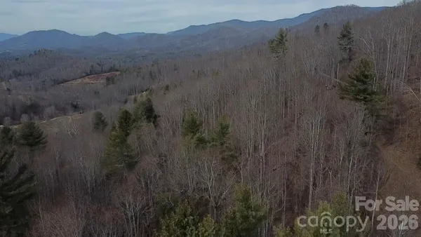 a view of a mountain in the distance