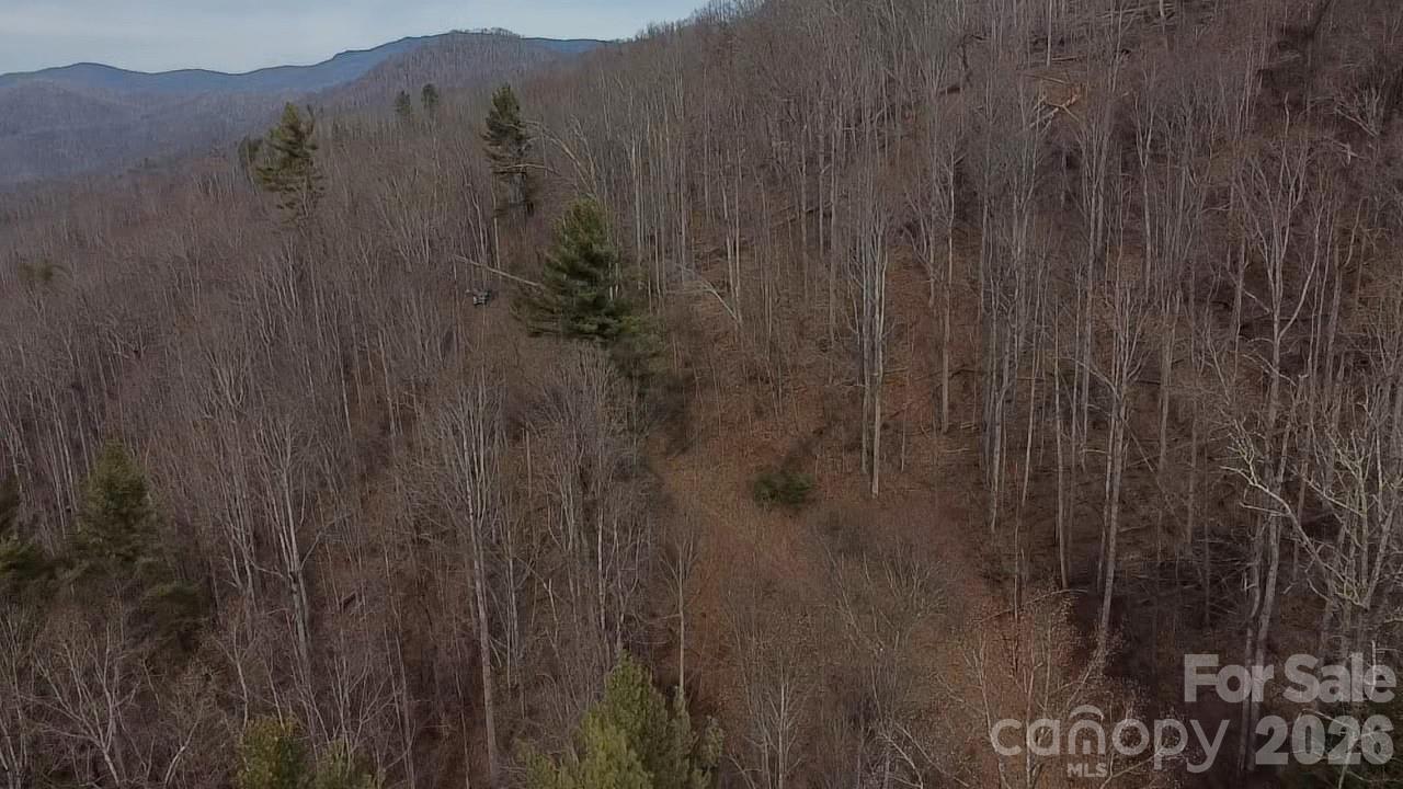 0 Wild Turkey Pen Road Bakersville, NC 28705 - Photo 10 of 12 a view of a pathway with a wooden fence