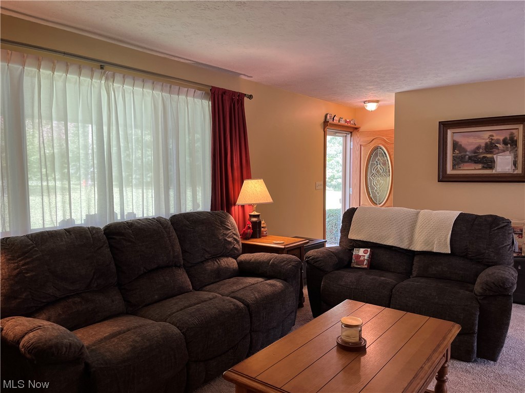 9632 Williams Road Diamond, OH 44412 - Photo 21 of 22 Carpeted living room featuring a textured ceiling