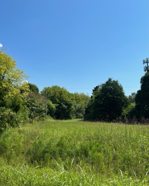 307 Lear Road Portland, TN 37148 - Photo 3 of 3 a view of a garden