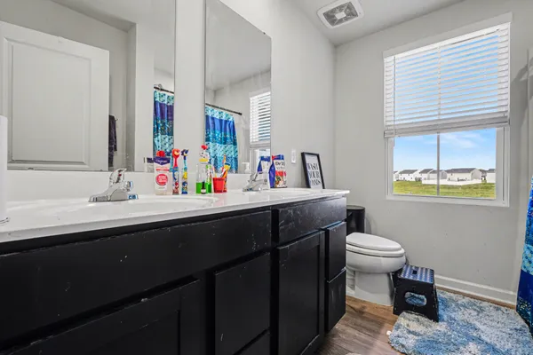 a bathroom with a sink vanity mirror and toilet