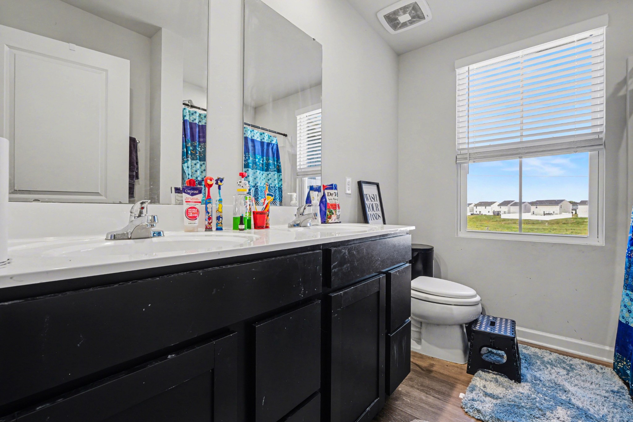 5778 Stardive Way Christiana, TN 37037 - Photo 23 of 29 a bathroom with a sink vanity mirror and toilet