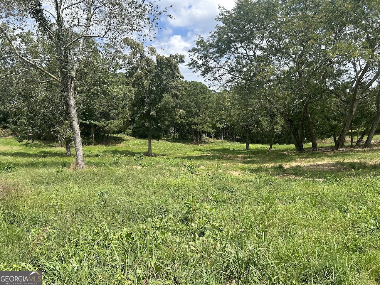 0 Blackjack Mountain Road, Unit TRACT 225 ACRES) Bowdon, GA 30108 - Photo 11 of 40 a view of outdoor space with deck and yard