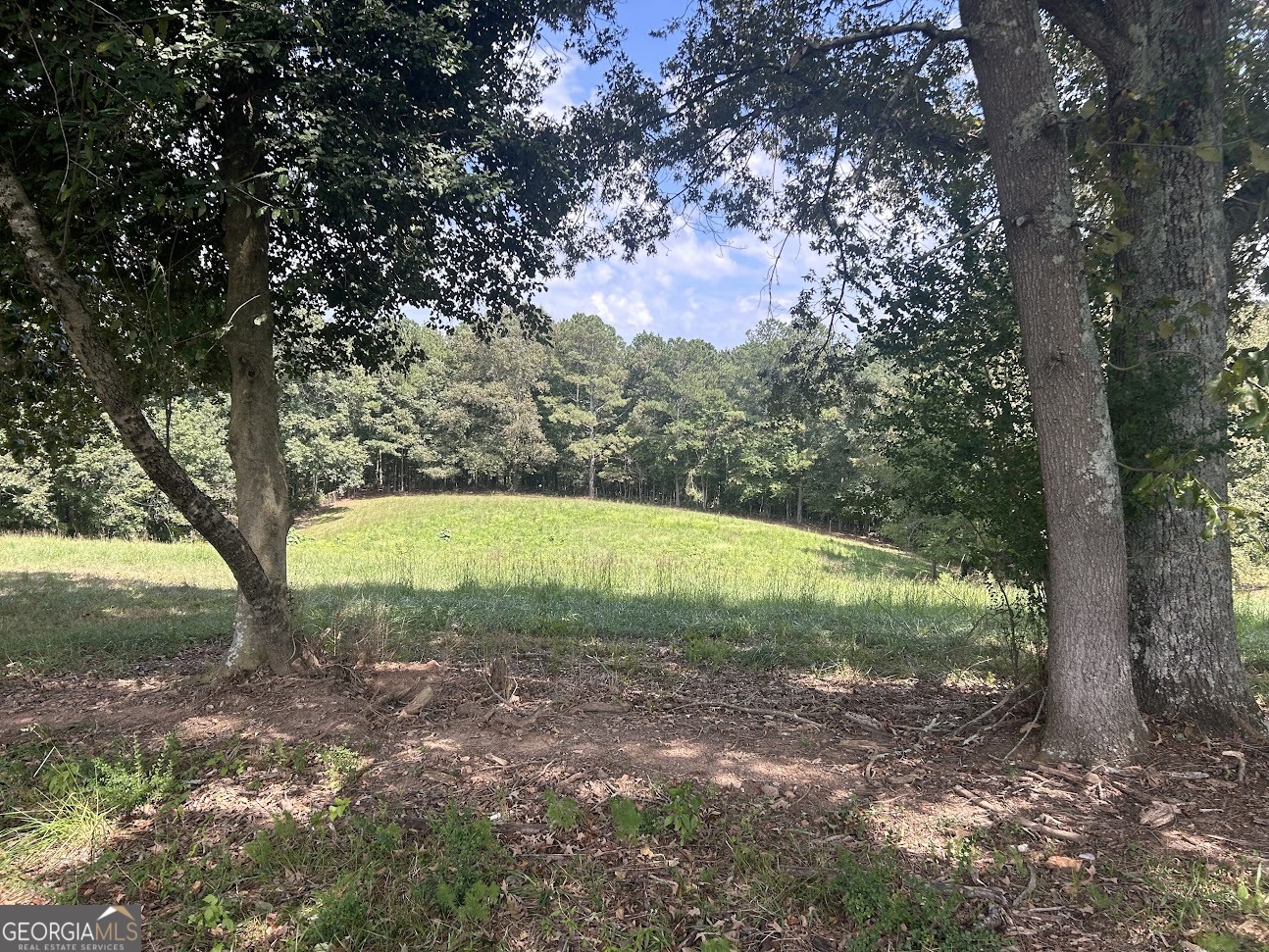 0 Blackjack Mountain Road, Unit TRACT 225 ACRES) Bowdon, GA 30108 - Photo 12 of 40 a view of a park with large trees