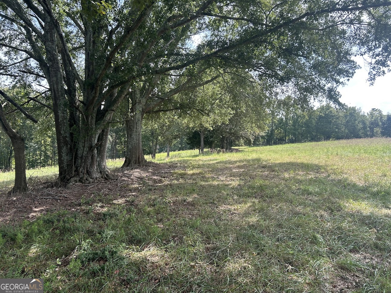 0 Blackjack Mountain Road, Unit TRACT 225 ACRES) Bowdon, GA 30108 - Photo 13 of 40 a view of outdoor space with trees all around