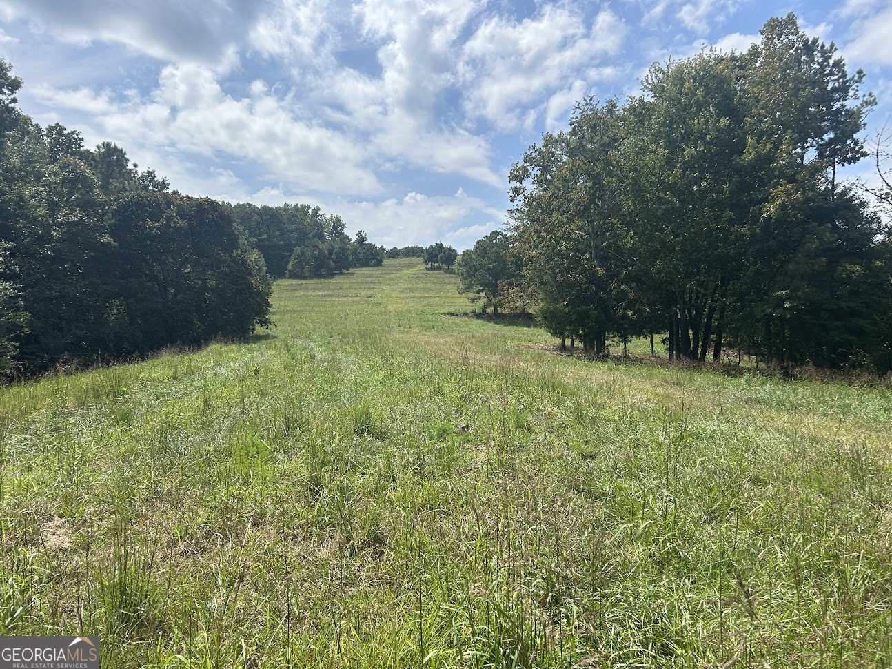 0 Blackjack Mountain Road, Unit TRACT 225 ACRES) Bowdon, GA 30108 - Photo 15 of 40 a view of a green field with wooden fence