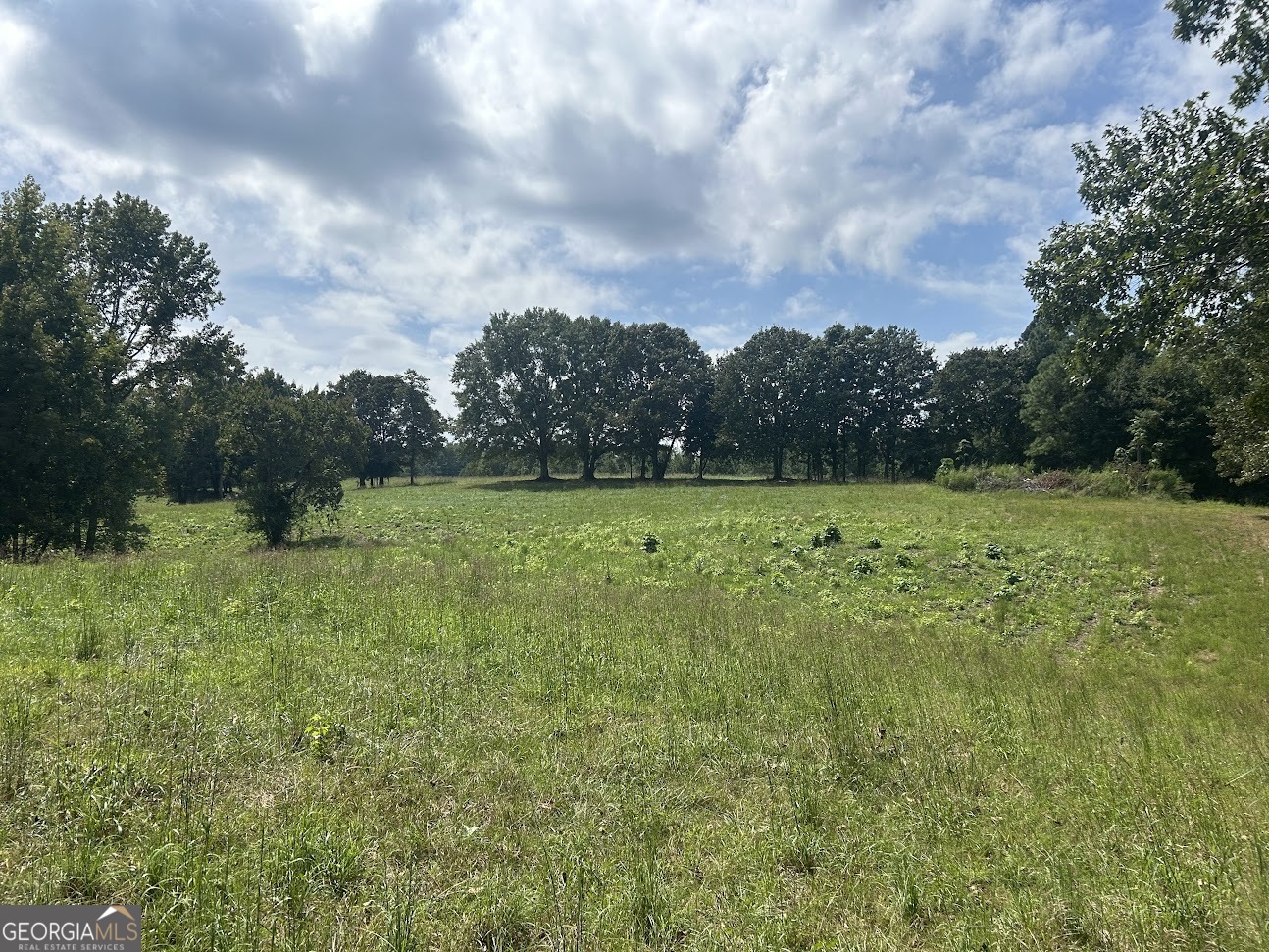 0 Blackjack Mountain Road, Unit TRACT 225 ACRES) Bowdon, GA 30108 - Photo 16 of 40 a view of a green field with wooden fence