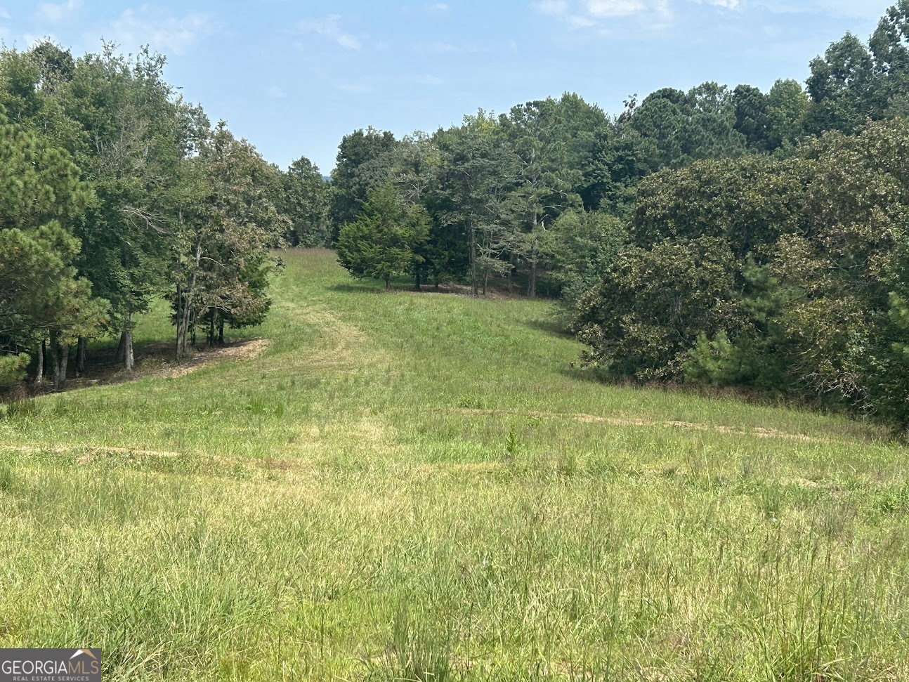 0 Blackjack Mountain Road, Unit TRACT 225 ACRES) Bowdon, GA 30108 - Photo 17 of 40 a yard with swimming pool and trees in the background
