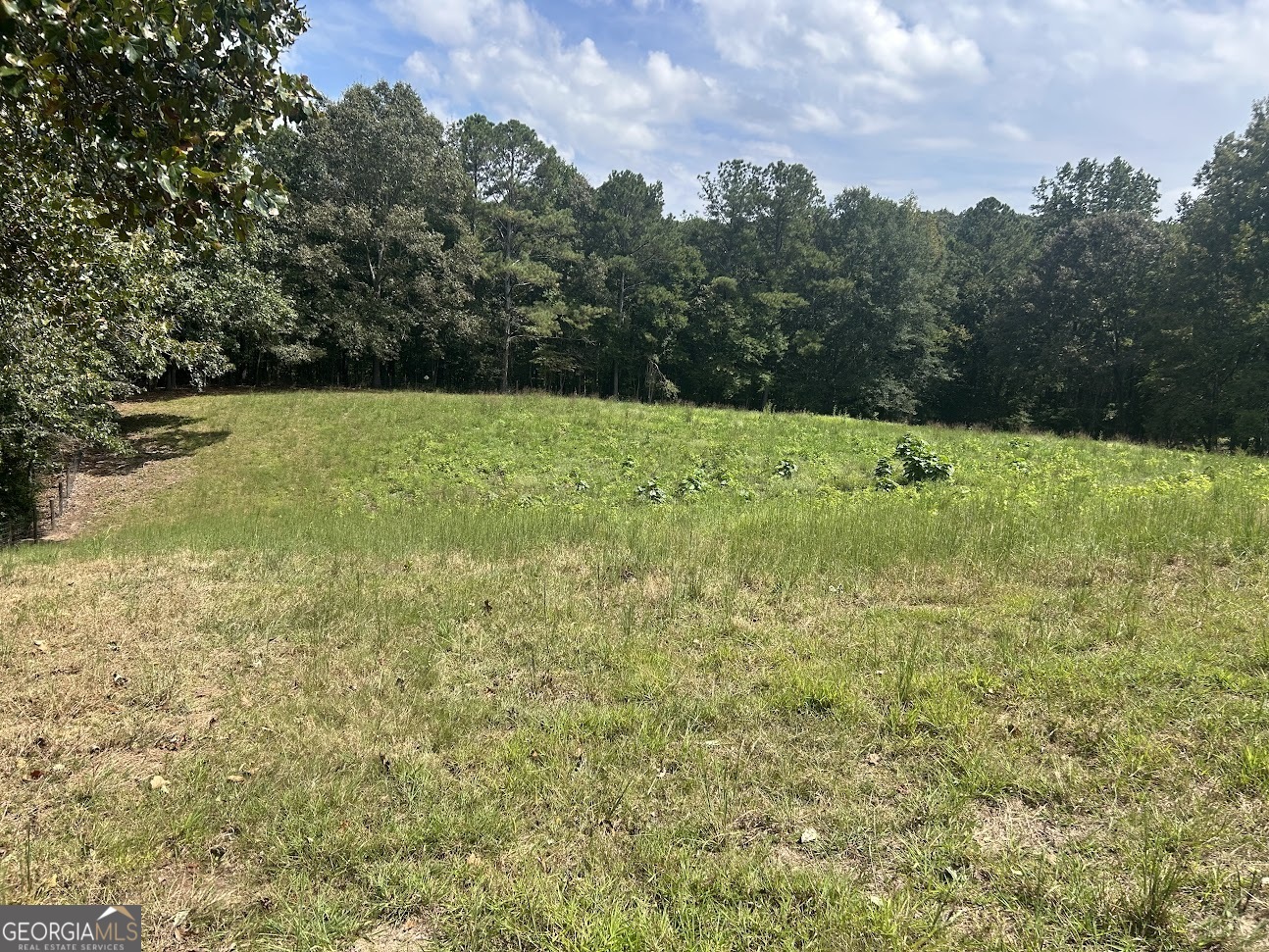 0 Blackjack Mountain Road, Unit TRACT 225 ACRES) Bowdon, GA 30108 - Photo 18 of 40 a view of outdoor space and yard