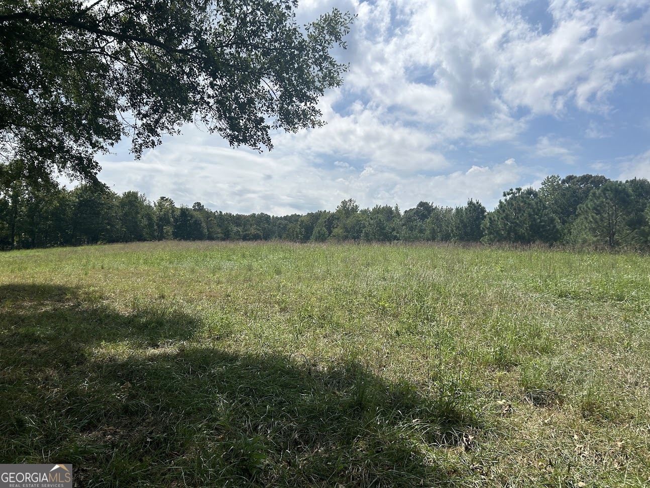 0 Blackjack Mountain Road, Unit TRACT 225 ACRES) Bowdon, GA 30108 - Photo 19 of 40 a view of a lake with houses in the background