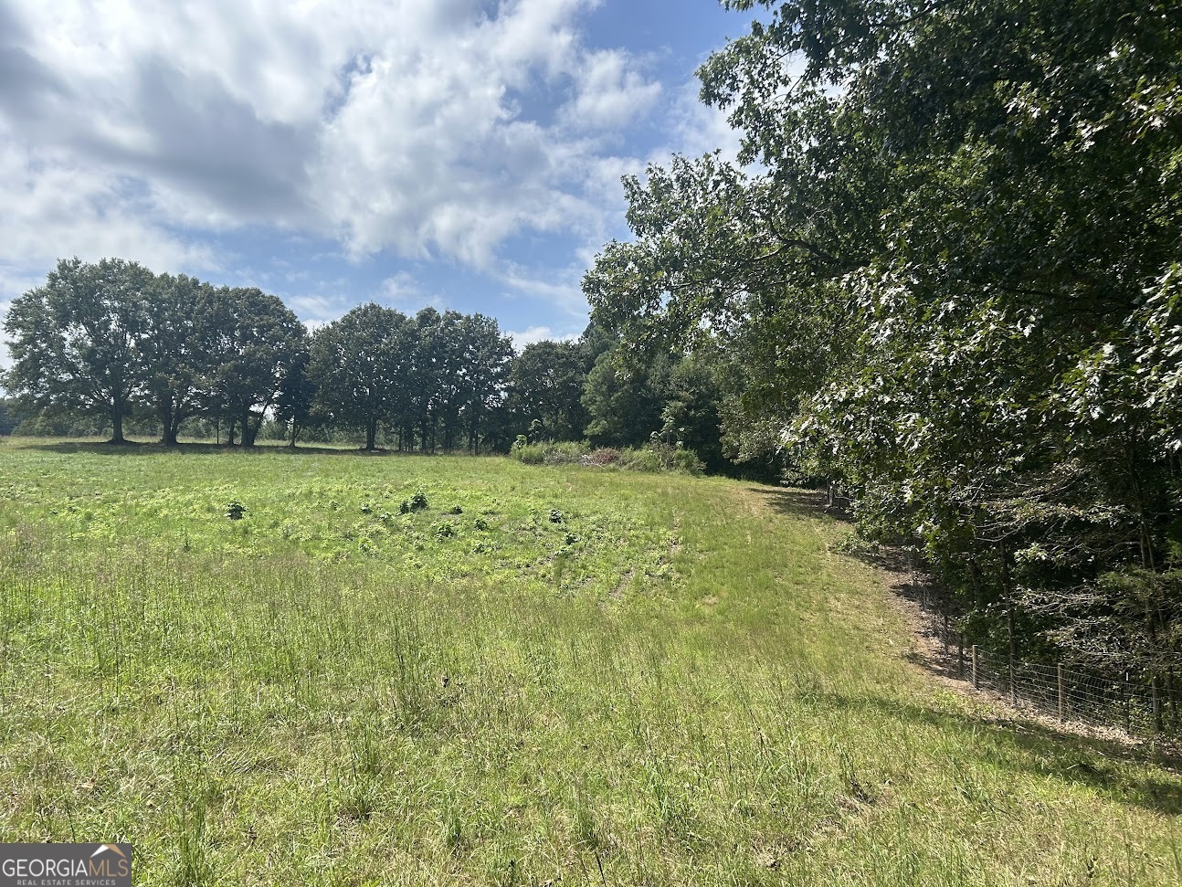 0 Blackjack Mountain Road, Unit TRACT 225 ACRES) Bowdon, GA 30108 - Photo 20 of 40 a view of a big yard with large trees