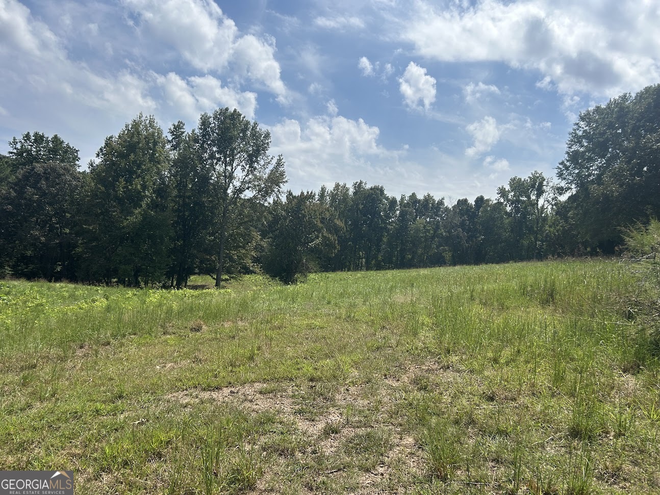 0 Blackjack Mountain Road, Unit TRACT 225 ACRES) Bowdon, GA 30108 - Photo 21 of 40 a view of outdoor space and yard